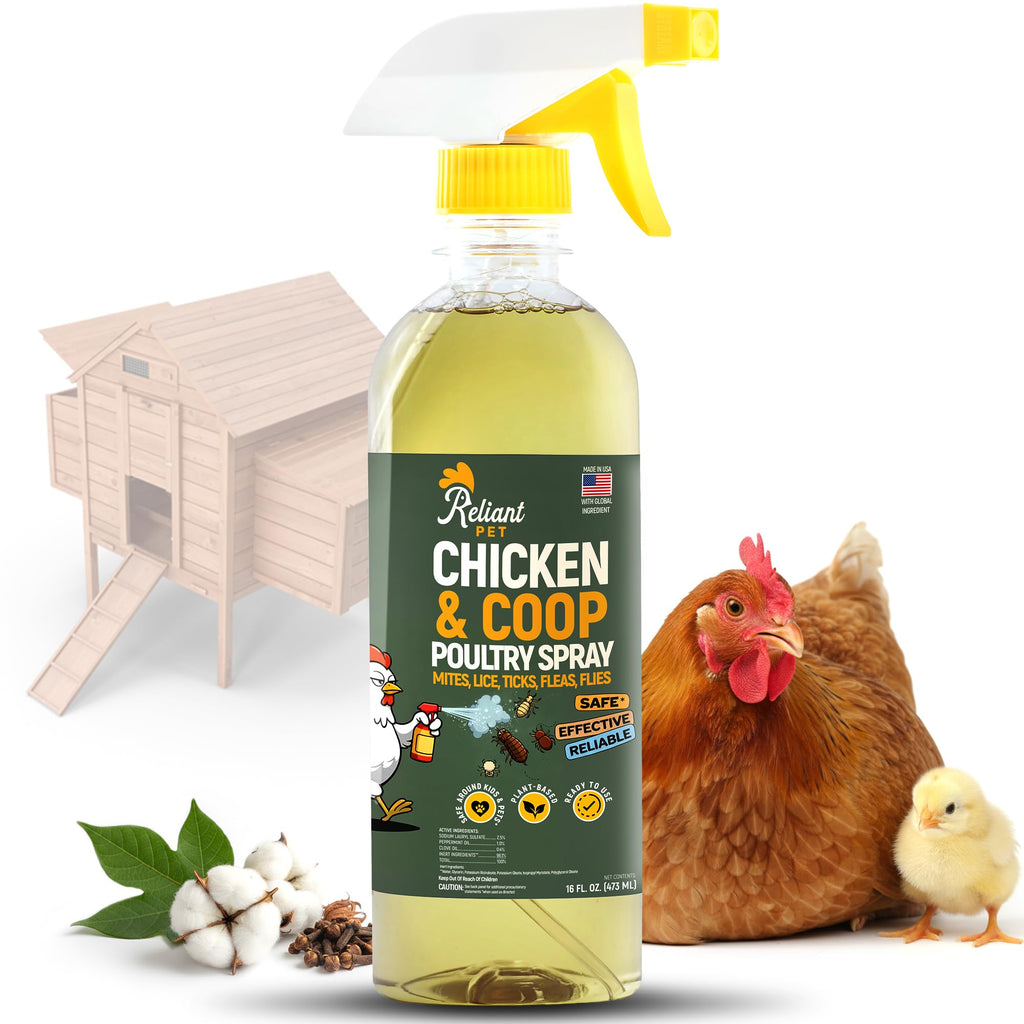 Reliant Pet Chicken and Coop Poultry Spray for Mite's Lice Ticks Fleas and Flies - Dust Mite Spray 16oz - Chicken Coop Fly Spray - Made in USA - Chicken Coop Accessories