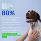 Turmeric for Dogs - Natural Anti-Inflammatory & Pain Relief, 120 ct