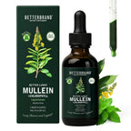 Betterbrand Mullein Drops, Alchohol-Free Lung Detox with Chlorophyll | 30:1 Mullein Leaf Tincture, Lung Cleanse, Long-Term Lung & Respiratory Health, Mullein Drops Supplement, Improved Airflow