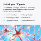 Mind Lab Pro® MLP® v4 Universal Nootropic™ Brain Booster Supplement, 60 Ct
