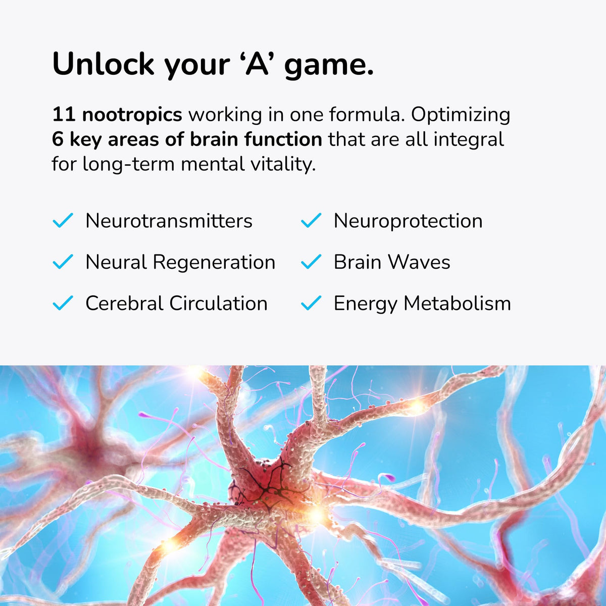 Mind Lab Pro® MLP® v4 Universal Nootropic™ Brain Booster Supplement, 60 Ct