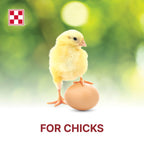 Purina Start & Grow | Nutritionally Complete Medicated Chick Feed Crumbles | 25 Pound (25 lb.) Bag