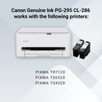 Canon PG-295 / CL-286 Genuine Ink Value Pack (2 Cartridges), Compatible with TR7120, TS6520, TS4320