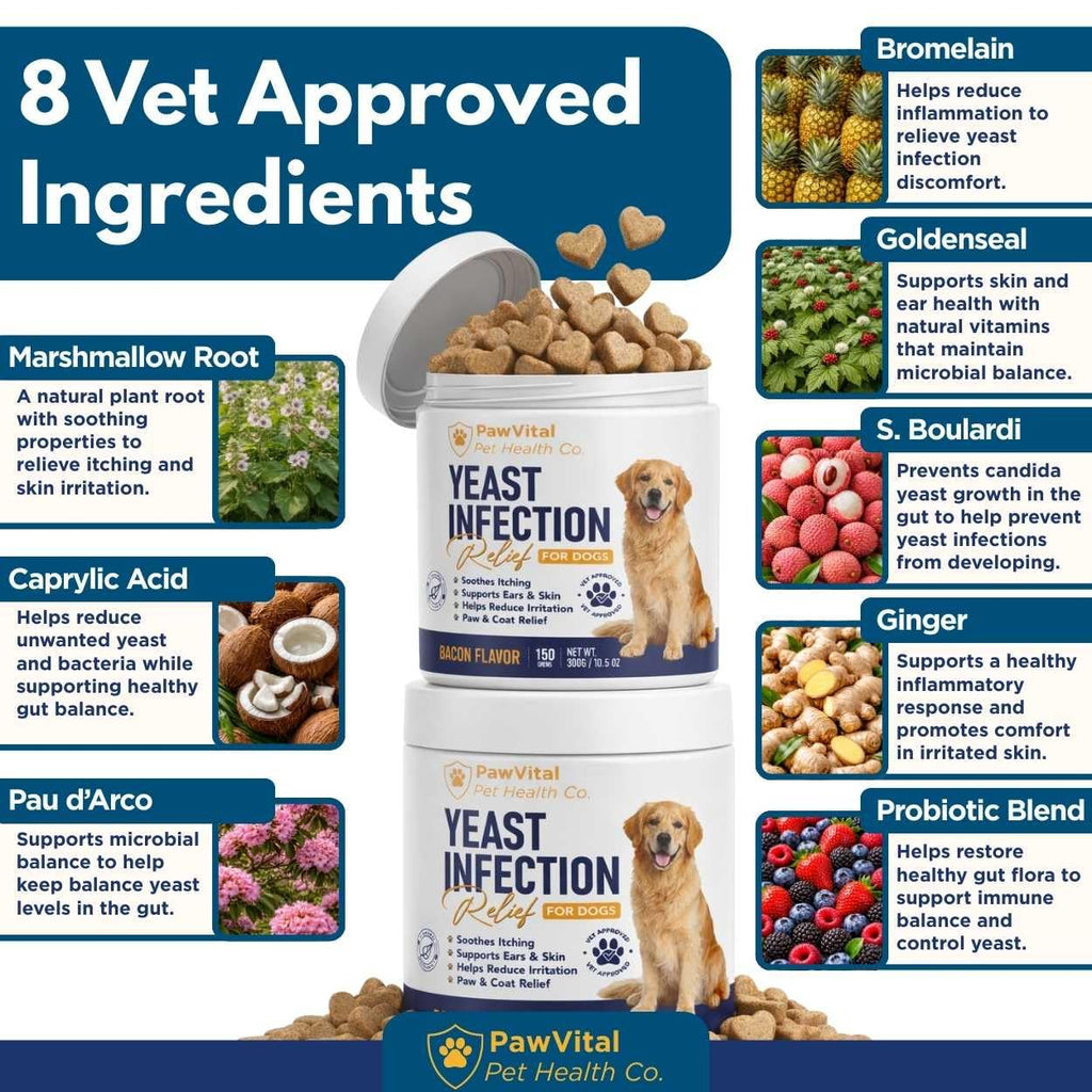 Natural Yeast Infection Treatment for Dogs, 150 Chews – Anti Yeast Support for Itchy Skin & Ears – Helps Reduce Irritation & Paw Licking – Probiotic + Herbal Blend – Bacon Flavored Soft Chews