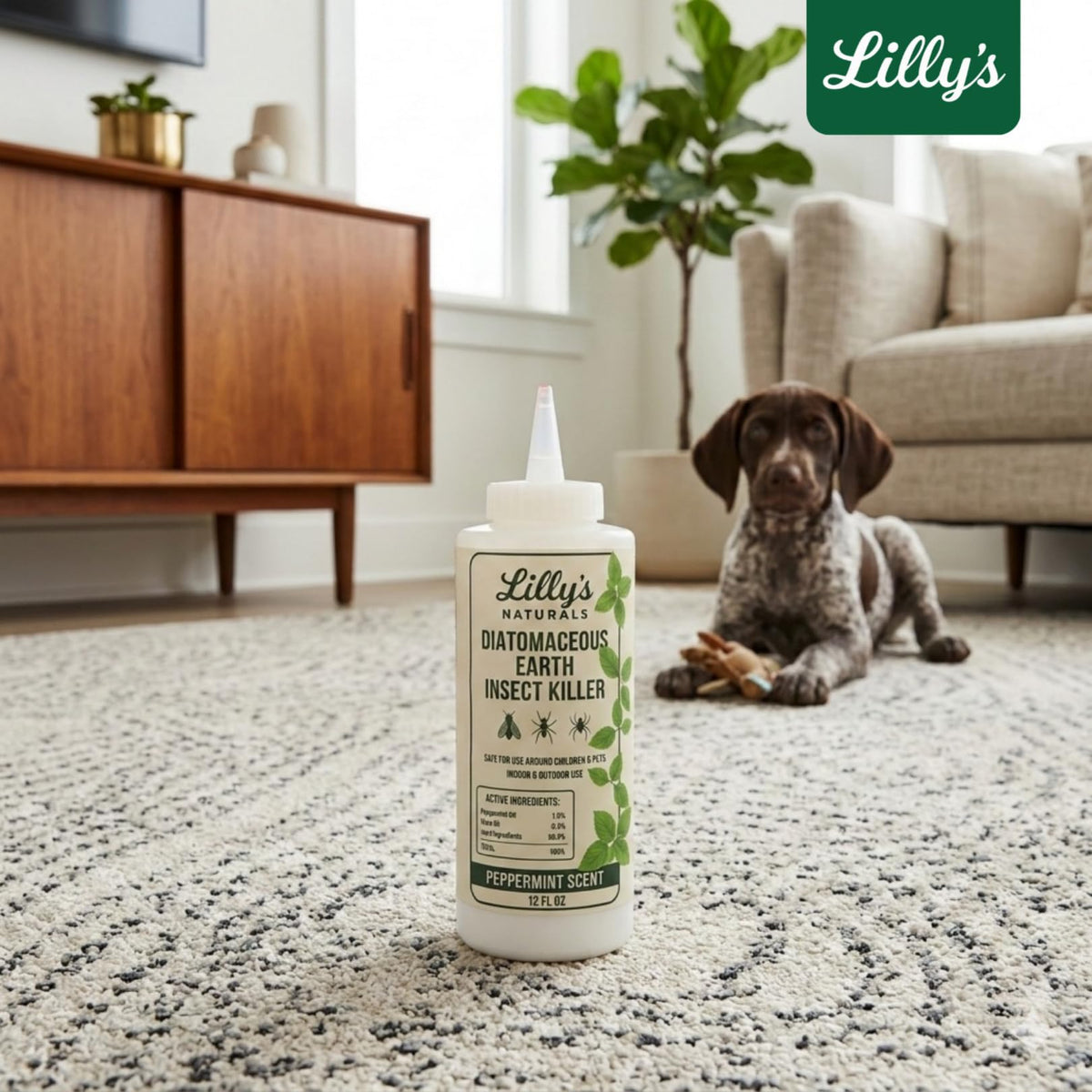 Diatomaceous Earth Food Grade with Peppermint Oil Crawling Insect Killer | Indoor Pest Control Powder for Bed Bug, Roach, Ant, Fleas | Lilly's naturals, 12 fl oz