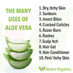 Buy now Organic Aloe Vera Gel for Skin, Face, Body, After Sun Care - USDA Certified Organic, 12 fl. oz. at indiglob india