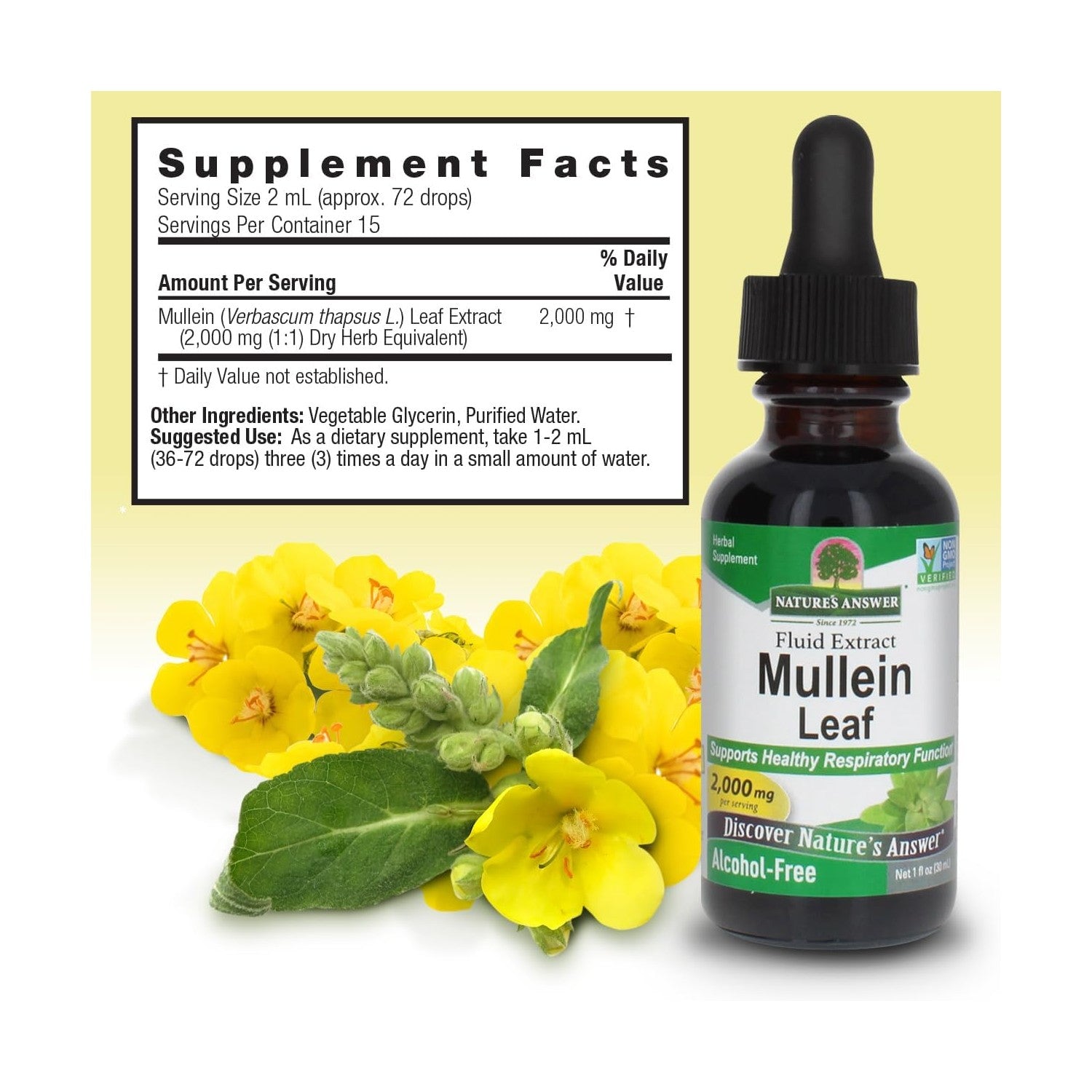 Buy now Nature's Answer Mullein Herb - Mullein Leaf Extract for Lungs - Alcohol Free, Non GMO, Made in USA - Supports Respiratory Function & Promotes Healthy Lungs - Mullein Leaf 1 Ounce Extract at indiglob india