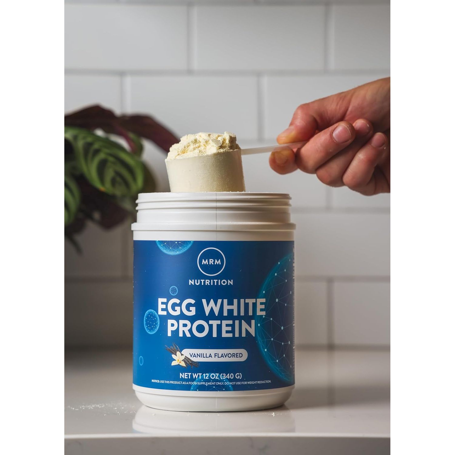 Buy now MRM Nutrition Egg White Protein | Vanilla Flavored | 23g Fat-Free Protein | with Digestive enzymes | Highest Biological Value | Clinically Tested | 10 Servings at indiglob india
