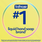 Buy now Softsoap Antibacterial Liquid Hand Soap, Kitchen Fresh Hand Soap, 11.25 Fl Oz (Pack of 6) at indiglob india
