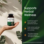 NatureBell Berberine 500mg - 300 Capsules - 97% Pure Berberine HCl - 5:1 Root Extract of Berberis Aristata - Antioxidant, Alkaloid & Adaptogenic Support*