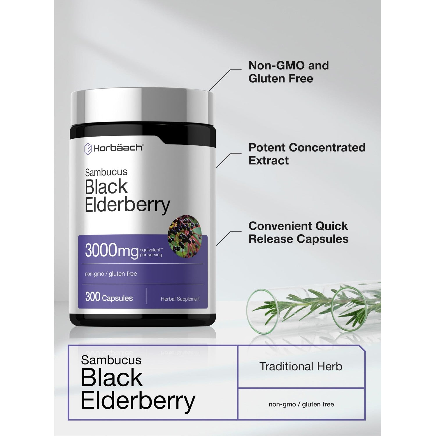 Horbäach Black Elderberry | 300 Capsules | Sambucus Supplement | Non-GMO & Gluten Free