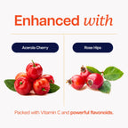 Vitamin C 1000mg, Immune Support, Timed-Release Capsules, 1 Year Supply