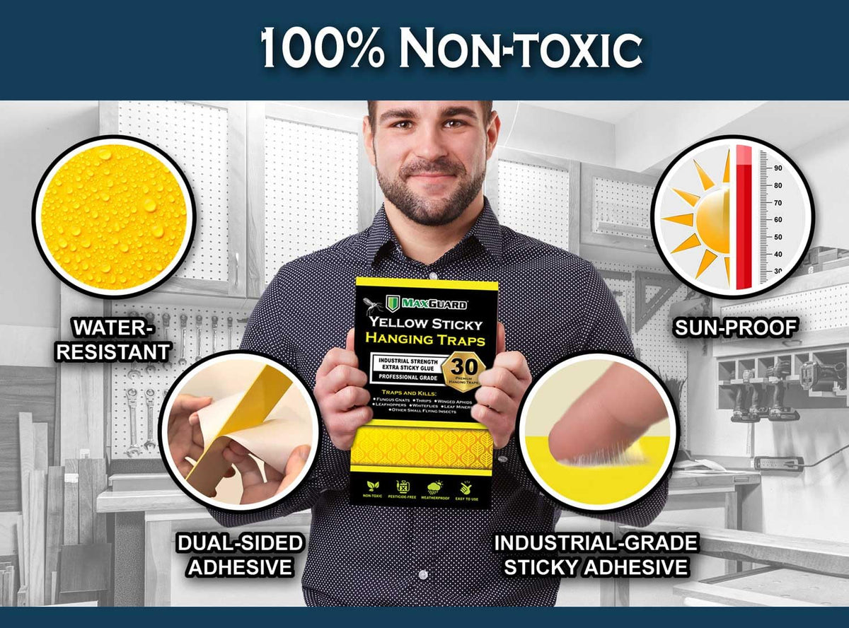 MaxGuard (20 Pack) Yellow Sticky Hanging Traps - Catch and Kill Fungus Gnats, Whiteflies, Mosquitos, Aphids, Leaf Miners, Flying Insect Catcher Glue Trappers for Indoor or Outdoor