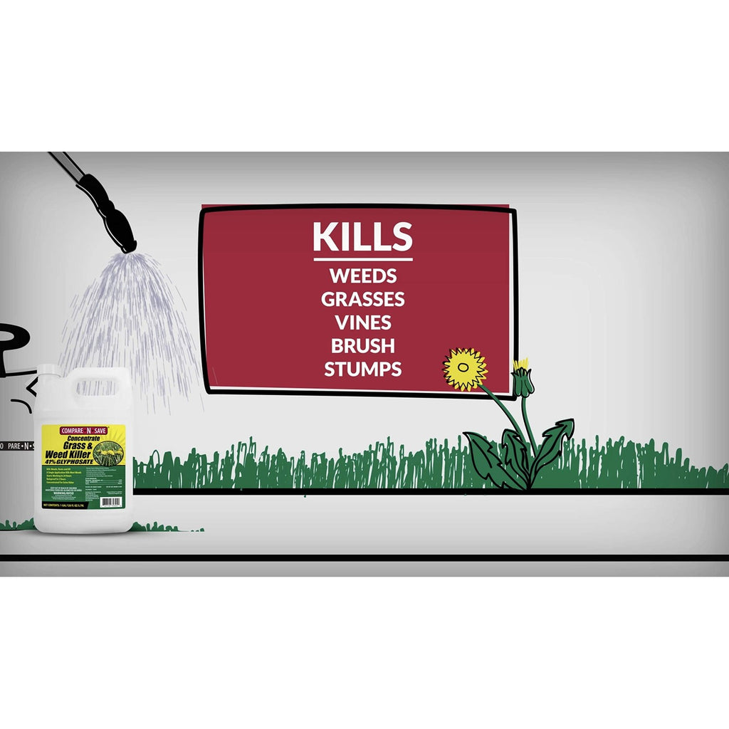 Compare-N-Save Glyphosate Concentrate Grass & Weed Killer Herbicide, 16-ounce