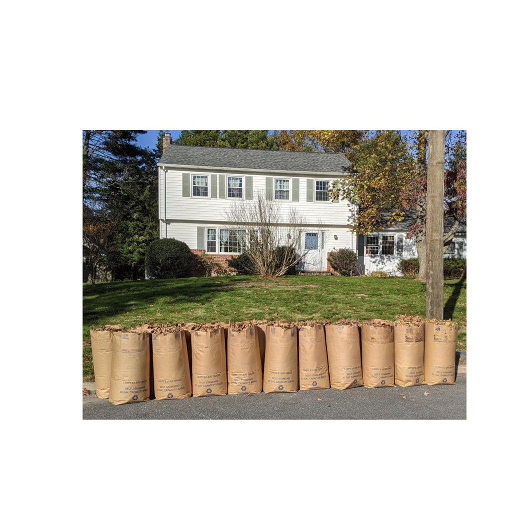 30 Gallon Lawn & Leaf 2-Ply Heavy-Duty Yard Waste Compost Refuse Paper Bags with Necessia Gardening Gloves, Eco-Friendly, Tear Resistant, Self Standing, Biodegredable, Made in USA, 30 Count