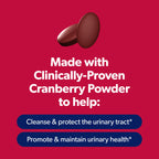 AZO Cranberry Pills for Urinary Tract Health for Women & Men, 50 Caplets | Made with Pacran Cranberry Powder, Sugar-Free Caplets, Bladder Support, 1 Serving Equals 1 Glass of Juice