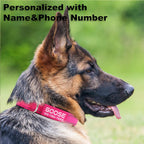 Personalized Dog Collars Custom with Pet Name & Phone for Small Medium Dogs