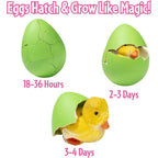 Buy now Easter Grow Pets For Kid Egg Hunt- 3 Pk- Hatch Surprise Animals That Expand 5-6x in Water- Bunny, Chick or Duck- Great Candy Alternative & Basket Stuffers- Make Your Next Scavenger Hunt Extra Special! at indiglob india