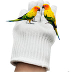 Buy now alfyng Bird Training Anti-Bite Parrot Chewing Protective Gloves, Small Animal Handling Gloves for Parrotlets Cockatiels Finch Macaw (1 Pair White) at indiglob india