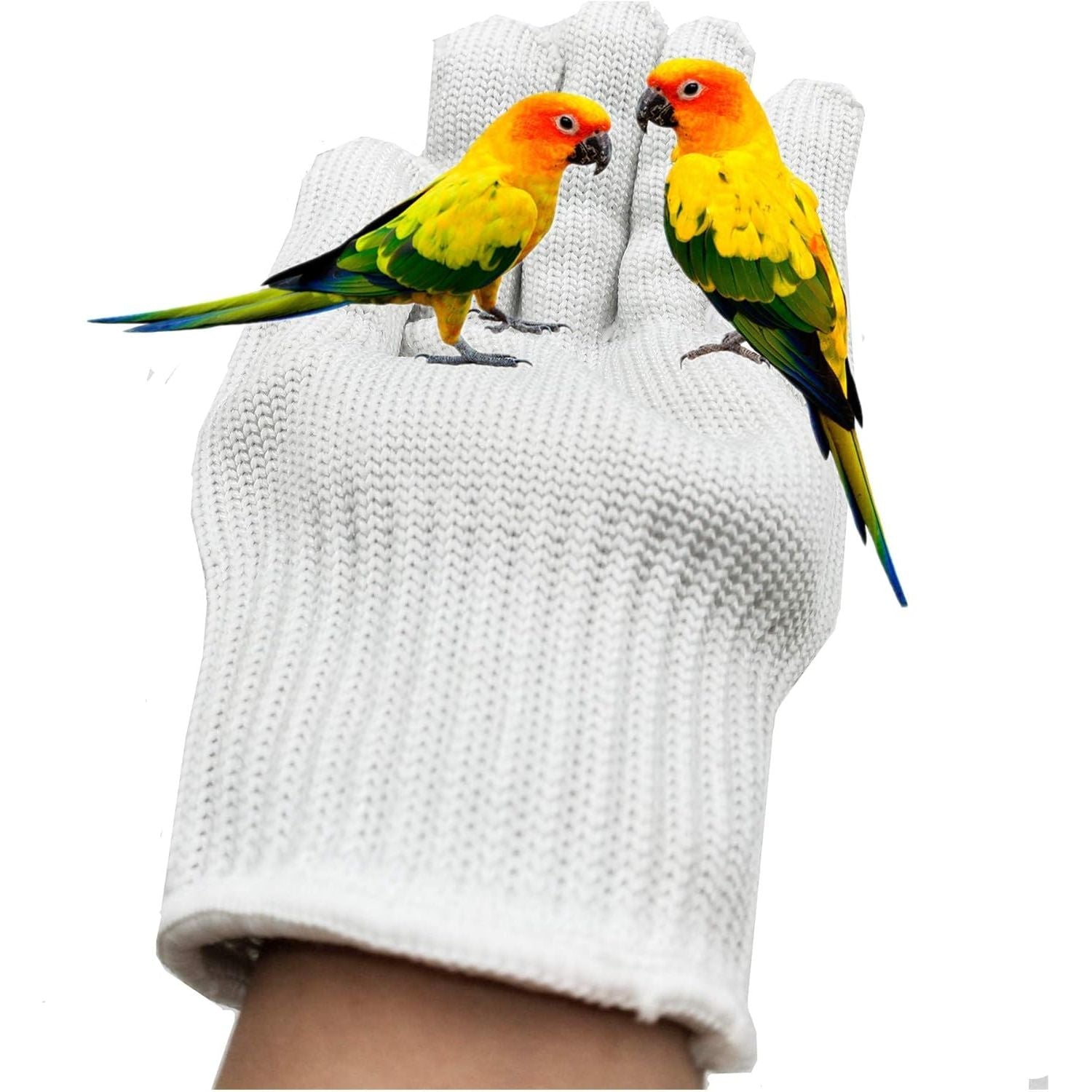 Buy now alfyng Bird Training Anti-Bite Parrot Chewing Protective Gloves, Small Animal Handling Gloves for Parrotlets Cockatiels Finch Macaw (1 Pair White) at indiglob india