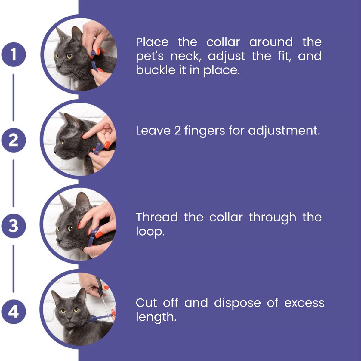 Gentle Paws 60-Day Cat Calming Collar (2-Pack) | for Stress, Fighting, Spraying, Pee Accidents, Anxiety & Aggression | Lavender-Free & Chamomile-Free, Non-Toxic, Breakaway Safety Design