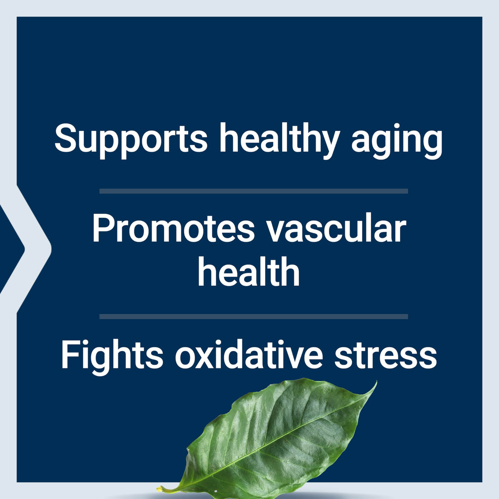 Life Extension Pycnogenol French Maritime Pine Bark Extract, 60 Capsules | Scientifically Studied Formula Supports Healthy Aging & Vascular Health, Non-GMO, Gluten-Free & Vegetarian