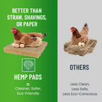 Small Pet Select Hemp Nesting Pads, Chicken Coop & Boxes, 10-Pack