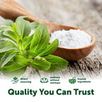 Micro Ingredients Pure Organic Stevia Extract Powder, 4 oz, No Additives | 706 Servings, Stevia Green Leaf Reb-A, Sugar-Free 0 Calories, Natural Sweetener, Sugar Substitute, Keto & Vegan Friendly