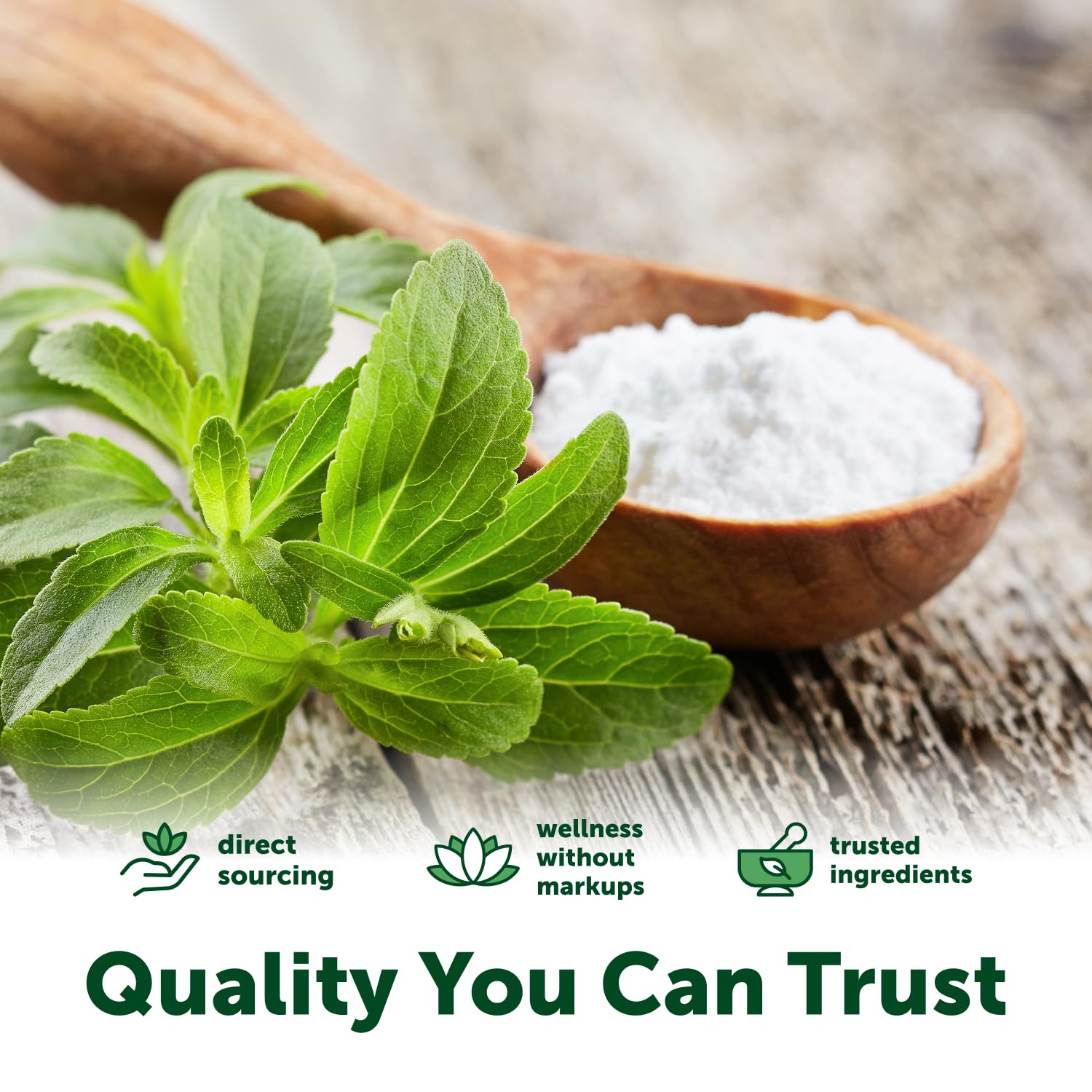 Micro Ingredients Pure Organic Stevia Extract Powder, 4 oz, No Additives | 706 Servings, Stevia Green Leaf Reb-A, Sugar-Free 0 Calories, Natural Sweetener, Sugar Substitute, Keto & Vegan Friendly