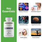 Buy now Paradise Herbs L-Carnosine, Super Potent, Ultra Pure, Antioxidant, Vegan, Non GMO, Gluten Free, 60 Vegetarian Capsules at indiglob india