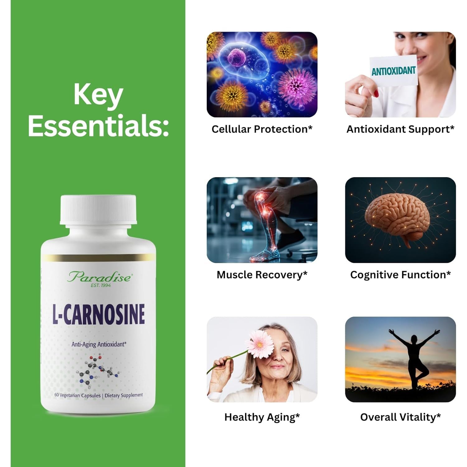 Buy now Paradise Herbs L-Carnosine, Super Potent, Ultra Pure, Antioxidant, Vegan, Non GMO, Gluten Free, 60 Vegetarian Capsules at indiglob india