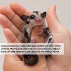 Buy now 5Pcs Sugar Glider Supplies Cage Accessories Hammock Set Hanging Bed Hideout for Small Animal Pets Hamster Guinea Pig Squirrel Gerbils at indiglob india