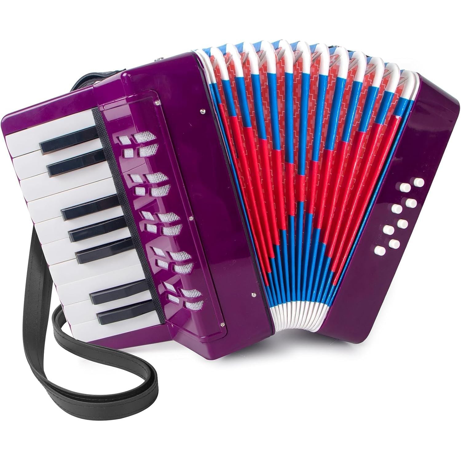 Buy now Accordion, 17 Keys Piano Accordion 8 Bass with Straps for Beginners Kids Student Educational Musical Instrument (Blue) Purple at indiglob india