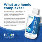 BEAM Minerals Micro-Boost and Electrolyze Advanced Set |100% Bioavailable | Replenish and Recharge With Easy-to-Absorb Electrolytes and Minerals That Support Hydration, Balance, and Everyday Wellness