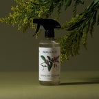 Koala Eco Stainless Steel & Chrome Cleaner, Peppermint Essential Oil, 16oz