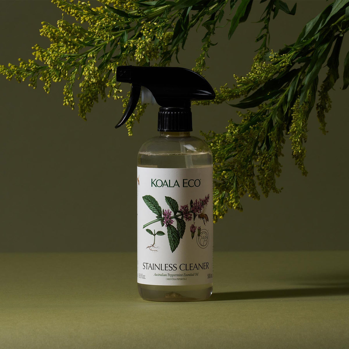 Koala Eco Stainless Steel & Chrome Cleaner, Peppermint Essential Oil, 16oz