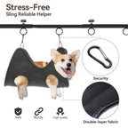 Pet Grooming Arm for Table, 42" H, 27-39" W with Hammock & 2 No-Sit Nooses