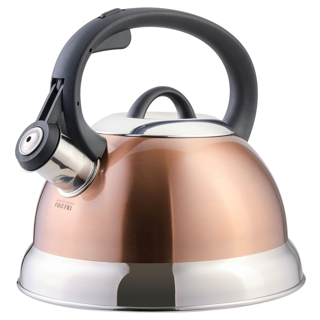 Buy now Mr. Coffee Flintshire 1.75-Quart Stainless Steel Whistling Tea Kettle â€“ Brushed Satin Finish Stove-Top Kettle for Boiling Water at indiglob india