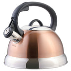 Buy now Mr. Coffee Flintshire 1.75-Quart Stainless Steel Whistling Tea Kettle â€“ Brushed Satin Finish Stove-Top Kettle for Boiling Water at indiglob india