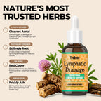 Lymphatic Drainage Drops for Bloat Relief & De-Puff - 2 Fl Oz | Cleavers, Stillingia Root, Prickly Ash Bark, Red Clover Flower | Herbal Liquid Formula for Healthy Flow & Circulation Support