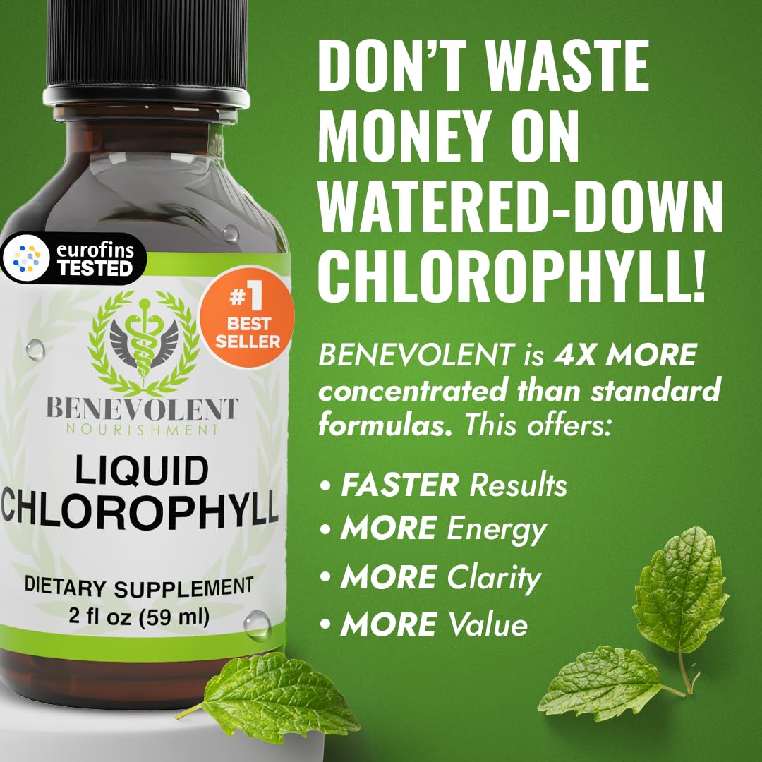 Benevolent Nourishment Chlorophyll Supplement, Detox & Immune Support, Internal Deodorizer, Liquid Drops | Highly Absorbable Supplement for Energy Support, Immune Wellness, Natural Cleansing, 4 Month Supply