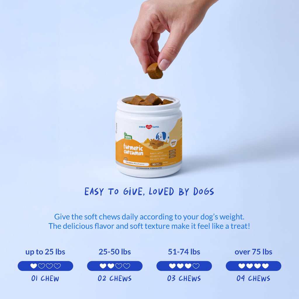 Turmeric Chews for Dogs, Anti-Inflammatory Supplement for Dog Joint Support