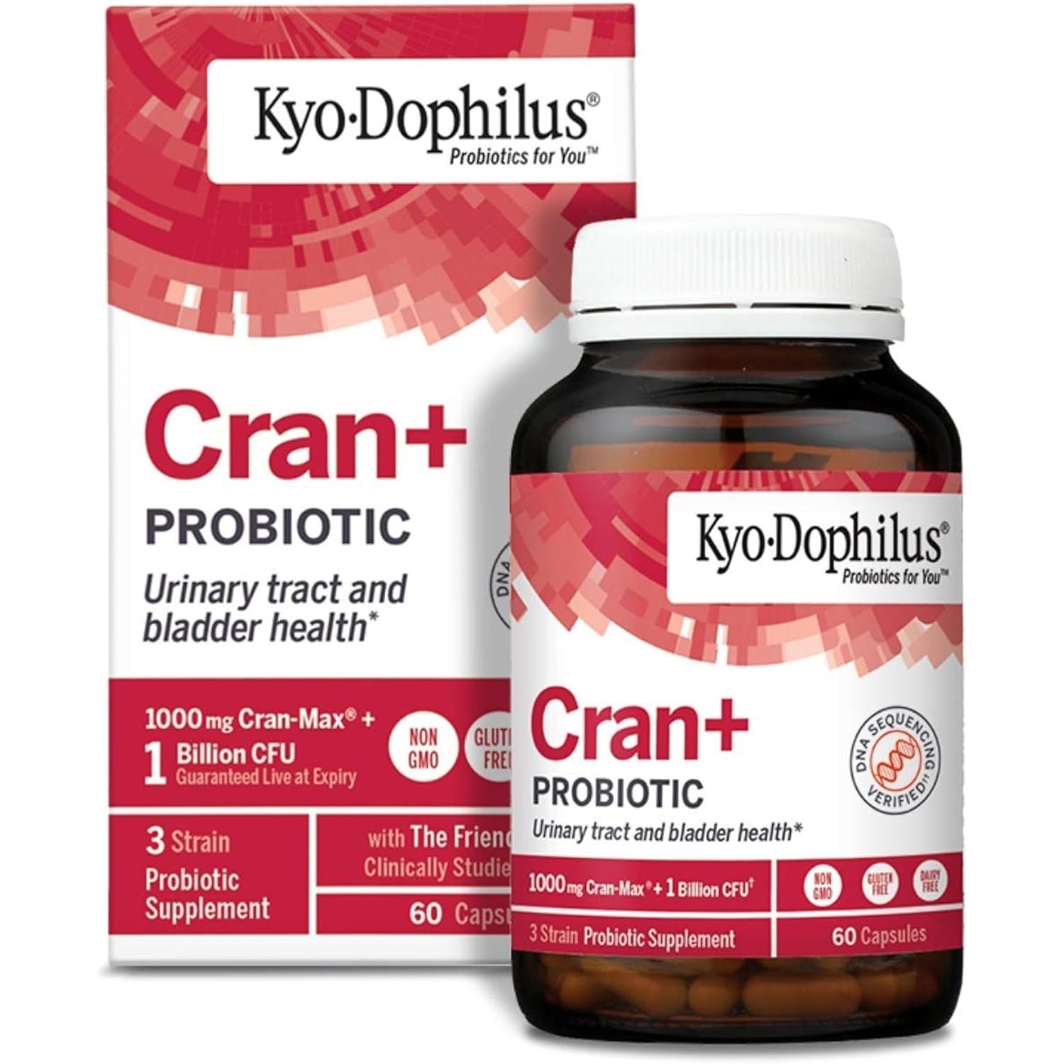 Buy now Kyolic Kyo-Dophilus Cran Probiotic, Urinary Tract and Bladder Health 60 Count (Pack of 1) Cran+ Probiotic at indiglob india