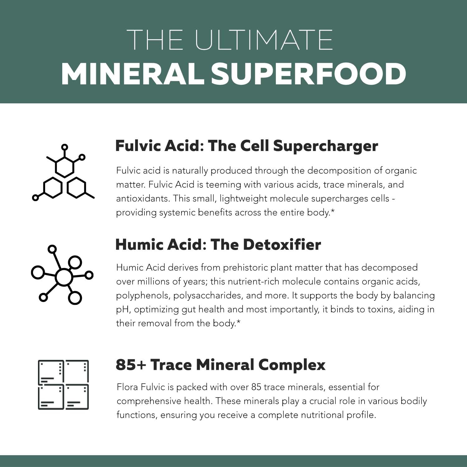 Flora Fulvic | Fulvic Acid + Humic Acid Complex – 550 mg | Mined in Utah, Prehistoric Deep Earth Extract | Immunity, Gut, Digestion – Natural Trace Mineral Complex, Fulvic Acid Supplement – 8 fl oz.