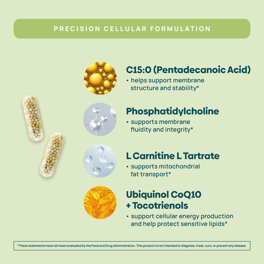 C15:0 Pentadecanoic Acid Supplement | Longevity, Cellular & Membrane Support, Micro-Granule Enhanced Absorption, Phosphatidylcholine, L-Carnitine, Ubiquinol CoQ10 & Tocotrienols – 120ct