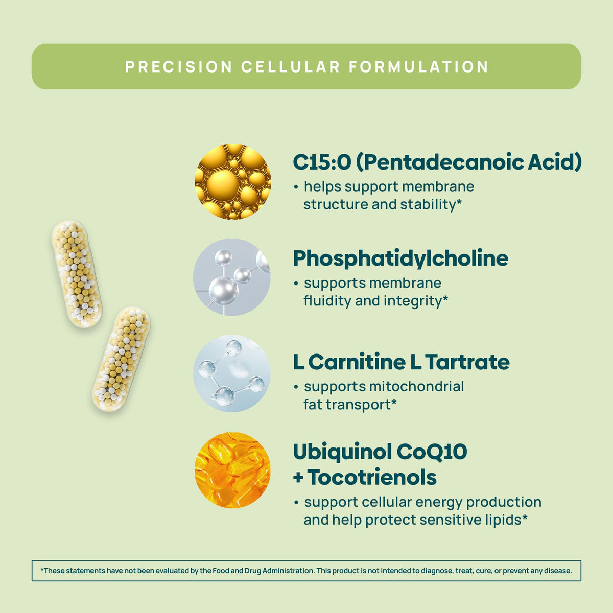 C15:0 Pentadecanoic Acid Supplement | Longevity, Cellular & Membrane Support, Micro-Granule Enhanced Absorption, Phosphatidylcholine, L-Carnitine, Ubiquinol CoQ10 & Tocotrienols – 120ct
