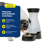 PetSafe Healthy Pet Water Station, 64 oz, Stainless Steel Bowl, Small