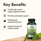 Swanson Spearmint Leaf Full Spectrum, 400 mg, 60 Capsules | For Digestive-Comfort-Seeking Adults, 400 mg Mentha Spicata, a Time-Honored Herb for Digestive Health