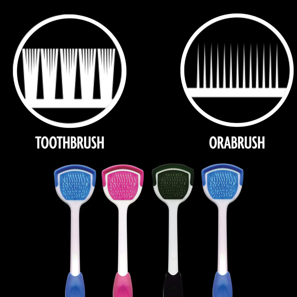 Buy now DenTek Orabrush Tongue Scraper, Gentle Tongue Cleaner Brush for Fresh Breath, 2 Count at indiglob india