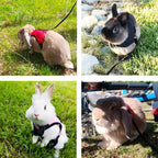 Buy now PETTOM Bunny Rabbit Harness with Stretchy Leash Cute Adjustable Buckle Breathable Mesh Vest for Kitten Small Pets Walking (Blue,S) at indiglob india